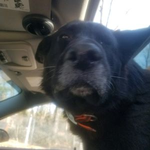 Meet your Posher, Autumn